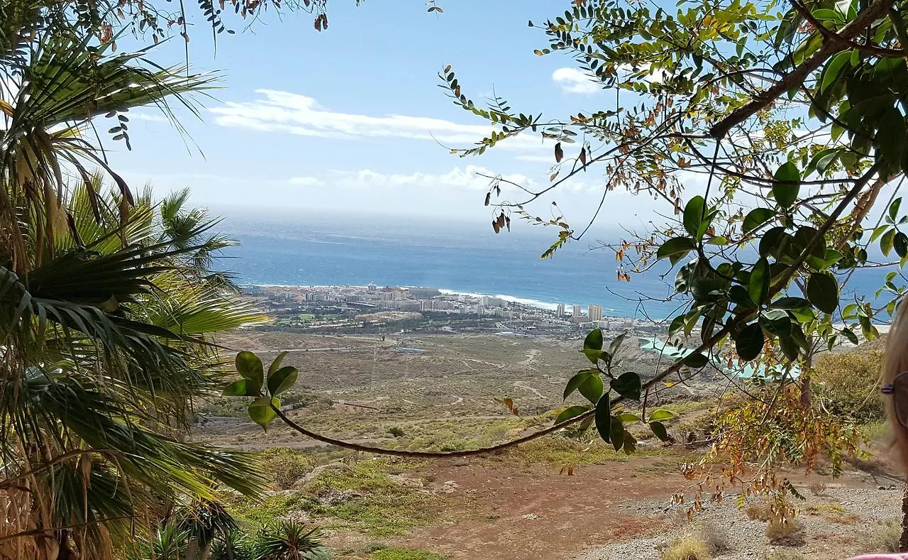 Lejlighed Ocean View Suite Close To Beach With Pool & Wifi Callao Salvaje
