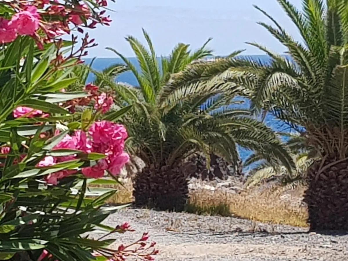 Ocean View Suite Close To Beach With Pool & Wifi Callao Salvaje